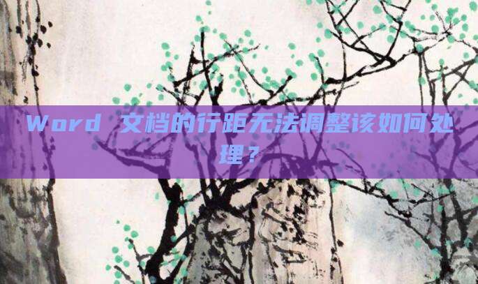 Word 文档的行距无法调整该如何处理?