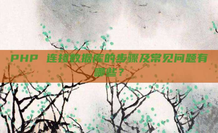 PHP 连接数据库的步骤及常见问题有哪些?