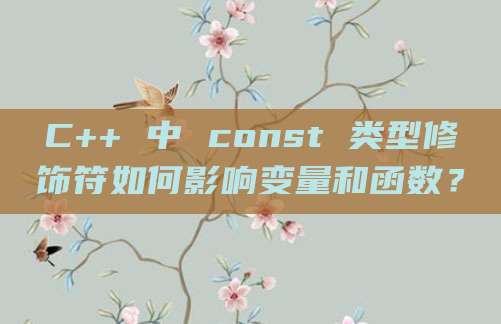 C++ 中 const 类型修饰符如何影响变量和函数?