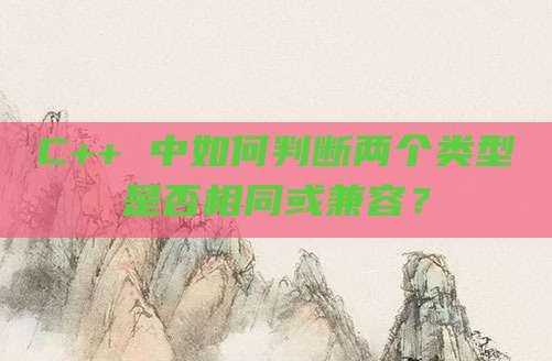 C++ 中如何判断两个类型是否相同或兼容?