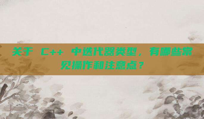 关于 C++ 中迭代器类型,有哪些常见操作和注意点?