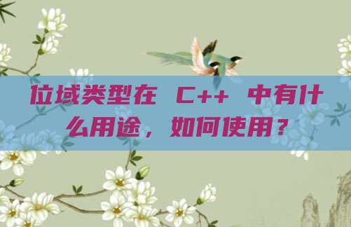 位域类型在 C++ 中有什么用途,如何使用?