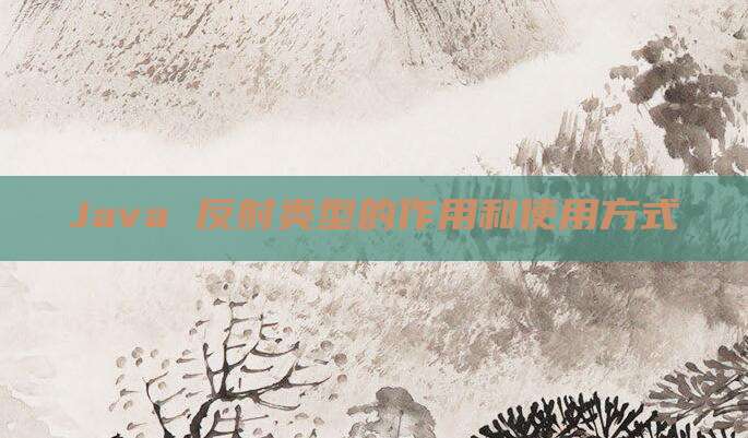 Java 反射类型的作用和使用方式