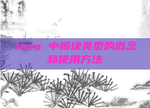 Java 中模块类型的概念和使用方法