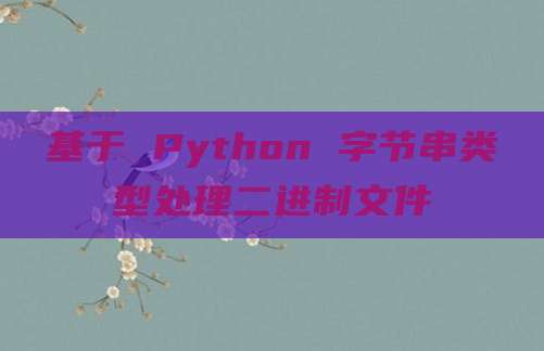 基于 Python 字节串类型处理二进制文件