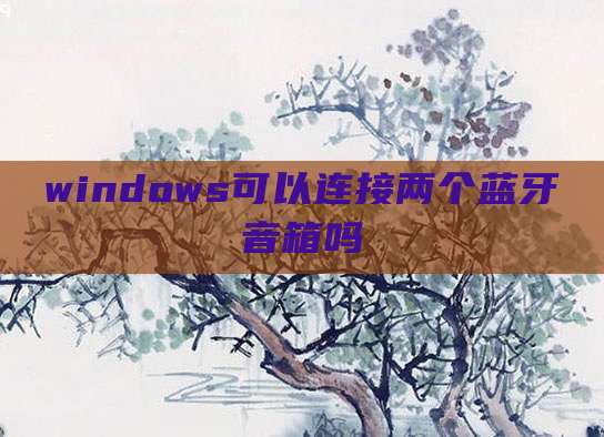 windows可以连接两个蓝牙音箱吗