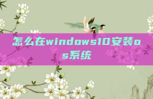 怎么在windows10安装os系统