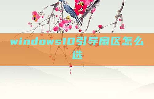 windows10引导扇区怎么选