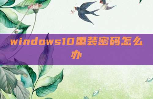 windows10重装密码怎么办