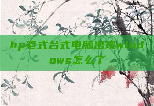 hp老式台式电脑出现windows怎么了