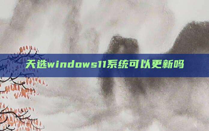 天选windows11系统可以更新吗