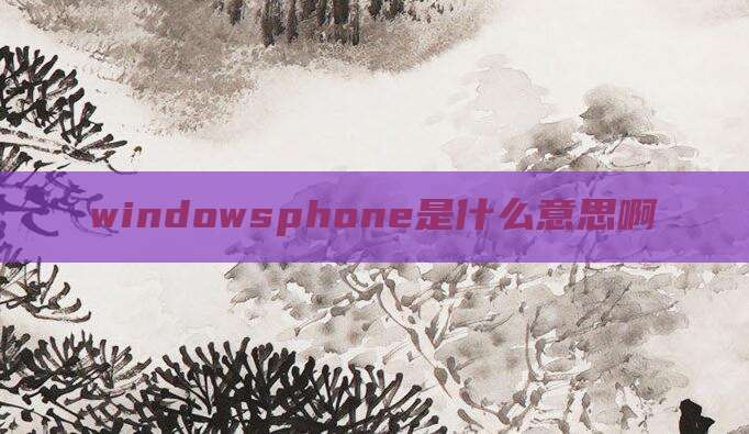 windowsphone是什么意思啊
