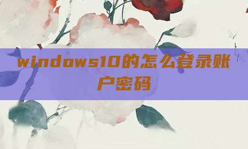 windows10的怎么登录账户密码