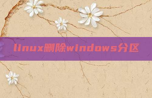 linux删除windows分区