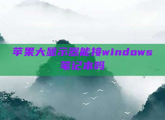 苹果大显示器能接windows笔记本吗