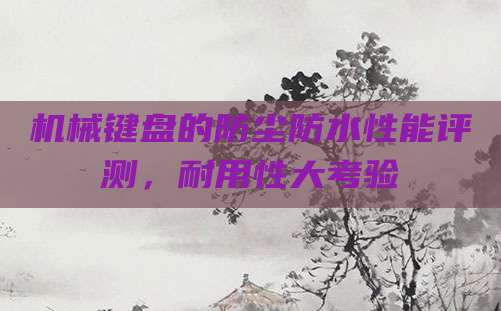 机械键盘的防尘防水性能评测,耐用性大考验