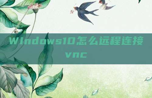 Windows10怎么远程连接vnc