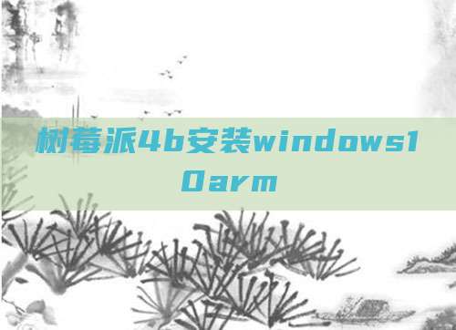 树莓派4b安装windows10arm