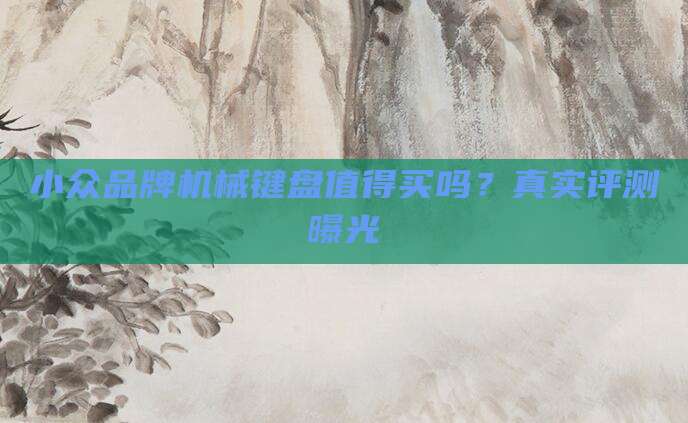 小众品牌机械键盘值得买吗?真实评测曝光