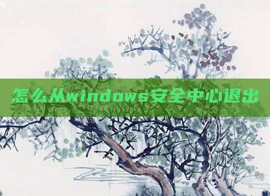 怎么从windows安全中心退出