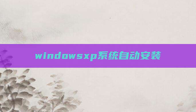 windowsxp系统自动安装