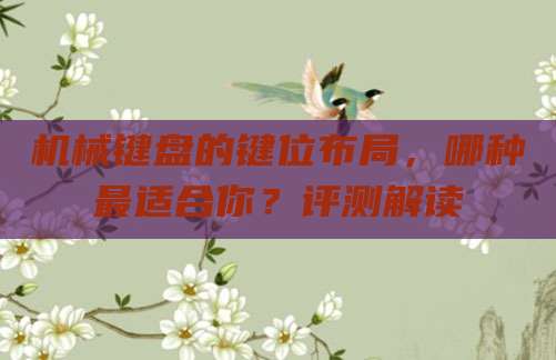 机械键盘的键位布局,哪种最适合你?评测解读