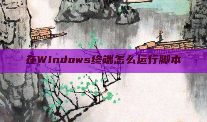 在Windows终端怎么运行脚本