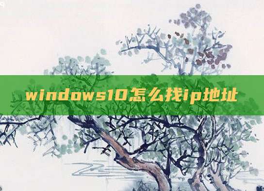 windows10怎么找ip地址