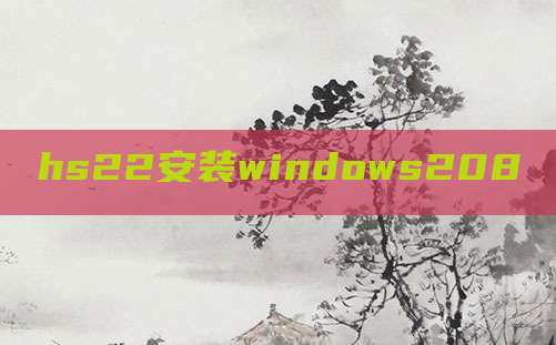 hs22安装windows208