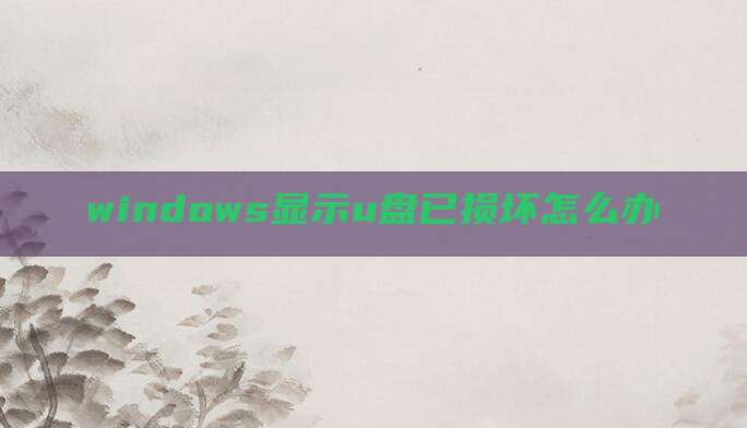 windows显示u盘已损坏怎么办