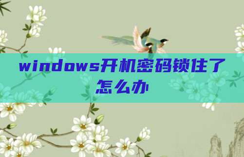 windows开机密码锁住了怎么办