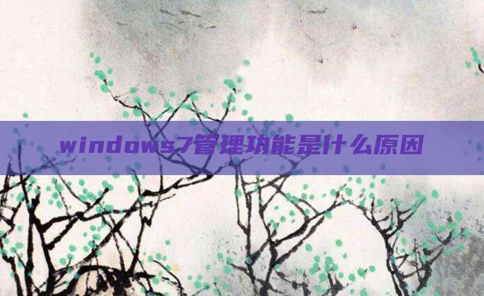 windows7管理功能是什么原因