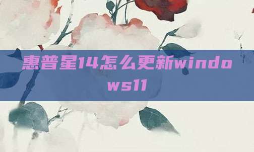 惠普星14怎么更新windows11
