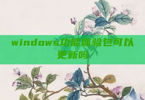 windows功能体验包可以更新吗