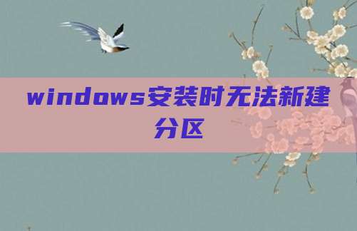 windows安装时无法新建分区