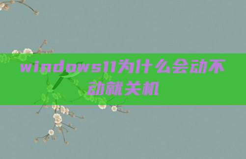 windows11为什么会动不动就关机