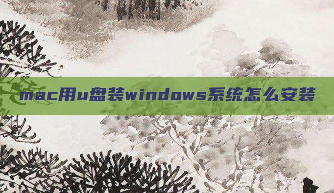mac用u盘装windows系统怎么安装