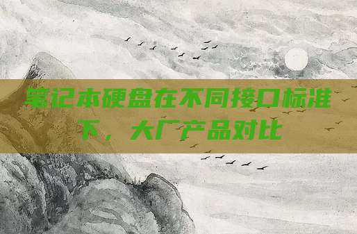 笔记本硬盘在不同接口标准下,大厂产品对比