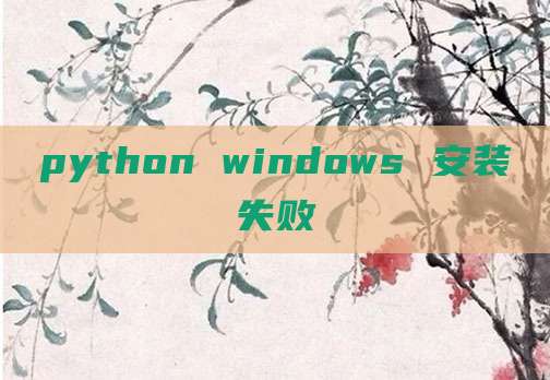 python windows 安装失败