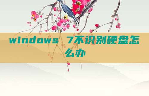 windows 7不识别硬盘怎么办