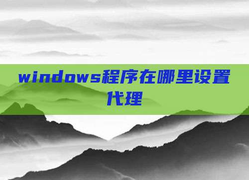 windows程序在哪里设置代理
