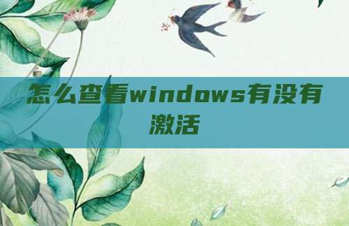 怎么查看windows有没有激活