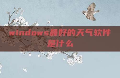 windows最好的天气软件是什么