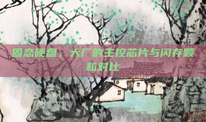 固态硬盘,大厂的主控芯片与闪存颗粒对比