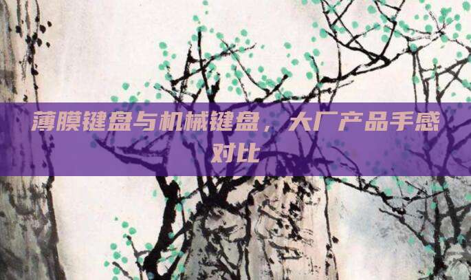 薄膜键盘与机械键盘,大厂产品手感对比