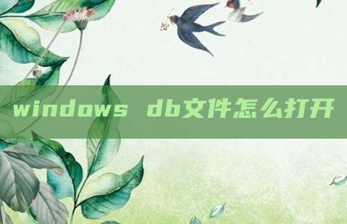 windows db文件怎么打开