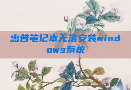 惠普笔记本无法安装windows系统