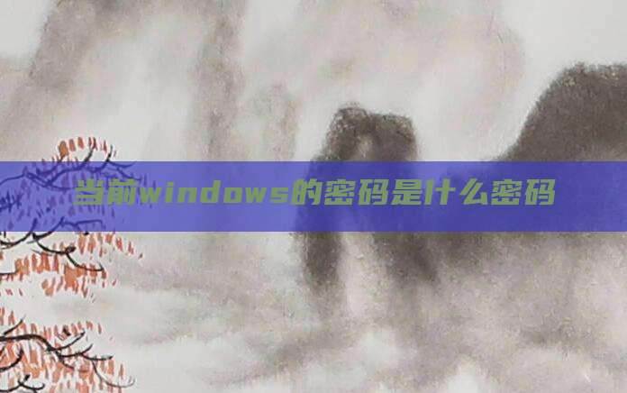 当前windows的密码是什么密码