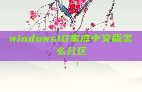 windows10家庭中文版怎么分区