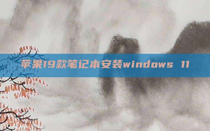 苹果19款笔记本安装windows 11